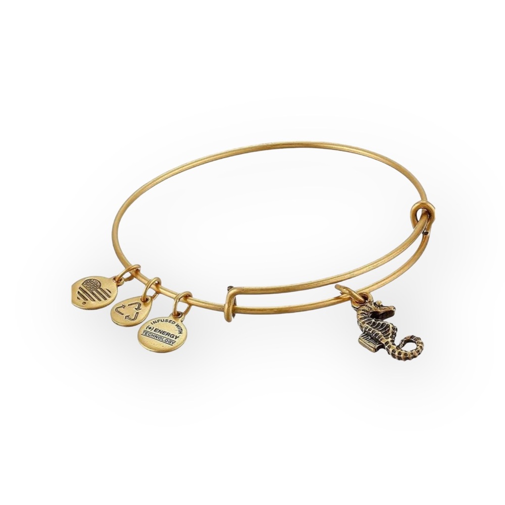Deadstock: new Alex and Ani ꥟ Seahorse Charm Bangle Bracelet ꥟ Rafaelian Gold ꥟